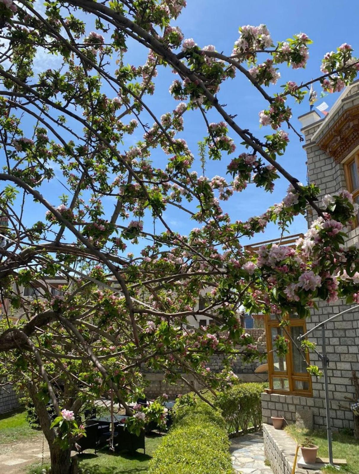 Hotel Lumbini Leh Exterior photo